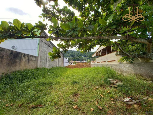 Imagem 3 de 11 de Terreno Para Alugar, 252 M² Por R$ 1.700,00/mês - Nova Esperança - Balneário Camboriú/sc - Te0053