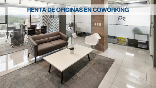 Renta De Oficinas En Coworking En Roma Norte 480