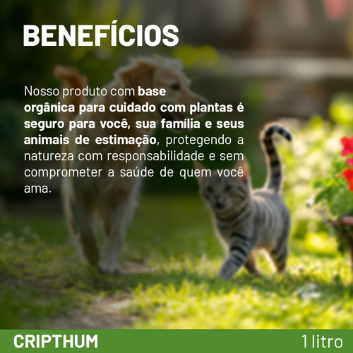 Ácido Húmico E Fúlvico De Leonardita Cripthum 1 Litro Arvensis Ácido Humico Leonardita