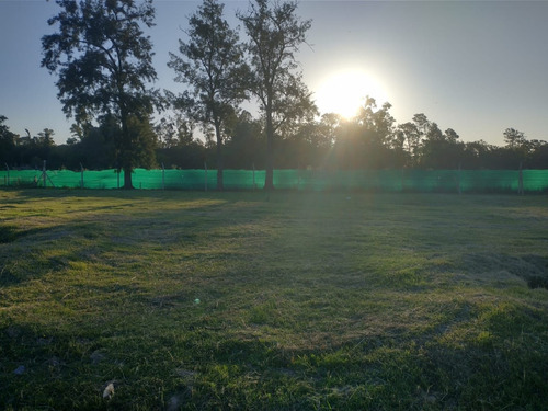 Imagen 13 de 21 de Lote En Barrio Semi - Cerrado 10x32.5 M2- Francisco Alvarez -venta Por Cesion