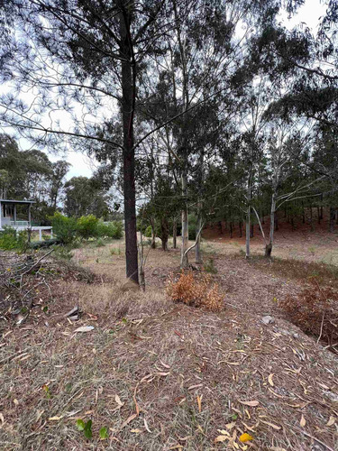 Imagen 4 de 5 de Lote En Costa Esmeralda Pinamar Senderos 3