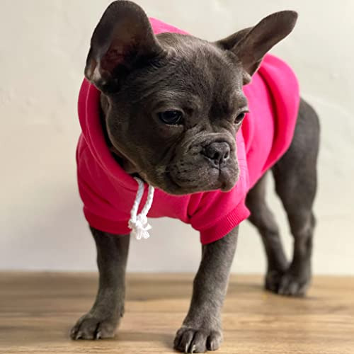 Lifeguard - Sudadera Con Capucha Para Perro Con Forro Polar