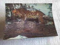 Comprar Postales Y Tarjetas Antiguas Son 45 Unidades 