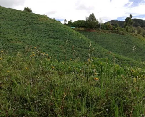 Hermosa Finca En Venta En El Municipio De La Unión Antioquia ~