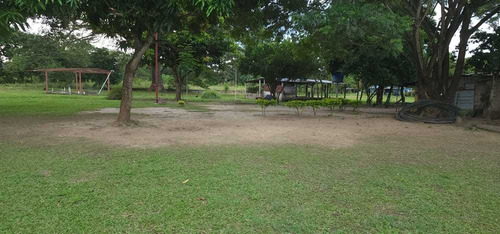 Imagen 9 de 13 de Granja Avícola- Porcina En Barinas Cerca Del Centro