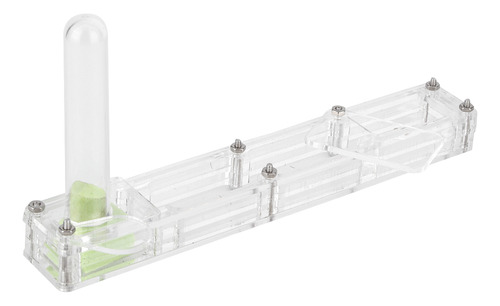 Caja De Presentación Acrílica Para Nido De Hormigas, Formica