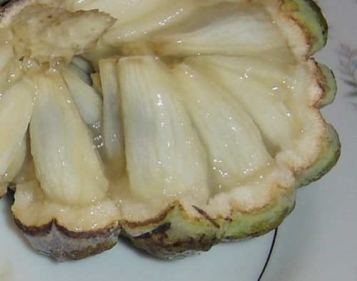 20 Sementes De Ata/pinha/fruta Do Conde