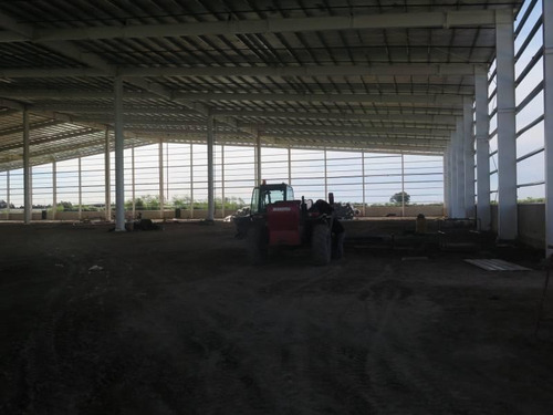 Imagen 3 de 5 de Nave Logística En Alquiler 11.000 M2 - Zárate