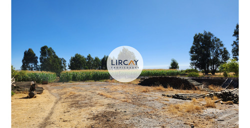 En Venta Terreno De 7 Hectáreas, Talca, Panguilemu.