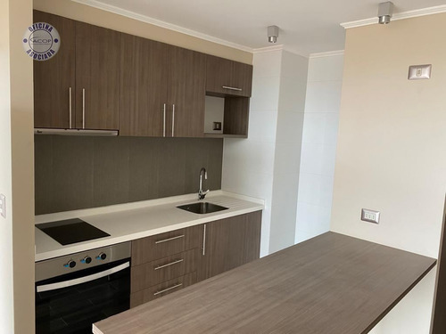 Se Arrienda Moderno Departamento Frente A Uach