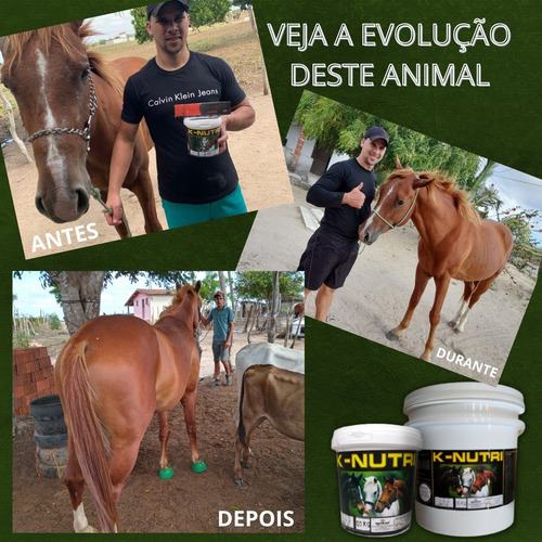 K-nutri Suplemento P Ganho De Massa Muscular C Creatina 10kg