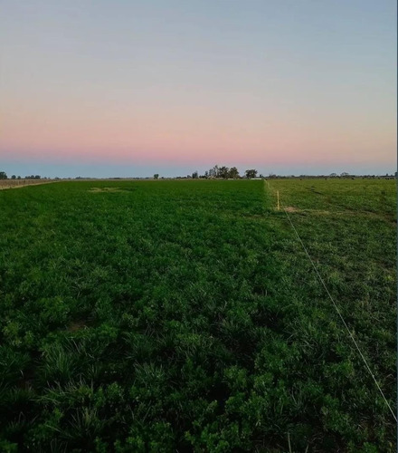 Atención!! Excelente Campo Mixto De 67 Has En Rivas, Provincia De Buenos Aires