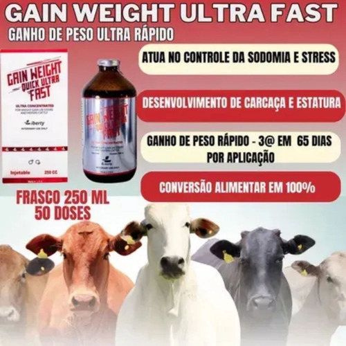 6 Und Suplemento Gain Weight Ultra Fast 250ml Engorda Rápida