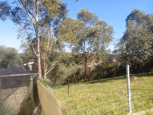 Imagem 4 de 10 de Chácara 36000m2, Casa Sede Com Churrasqueira, Pomar Formado, Galinheiro, Mina De Água Natural, Todo Cercado, Piquete, Ótima Localização - Ch00172 - 70264347