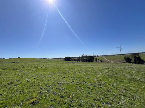Parcela En Venta En Camino Loncotoro Llanquihue