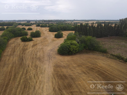 Campo En Venta De 80 Has En Gualeguay Entre Rios, Casco Histórico - Turismo Rural