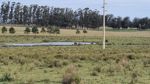 Inversión Asegurada En Las Garzas Rocha- Ref: 1097