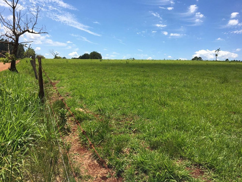 Imagen 12 de 21 de Lote En Venta 1219m2 En Puerto Rico - Loteo Clemens Blick