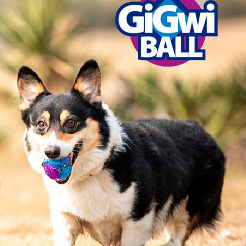 Imagen 2 de 7 de Juguetea Pelotas Para Perros Gigwi L Novedad!