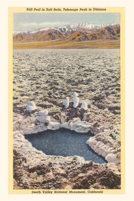 Libro The Vintage Journal Salt Pool, Death Valley - Found...