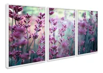 Comprar Quadros Decorativos Moldura Planta Lavanda Sala Quarto Hall