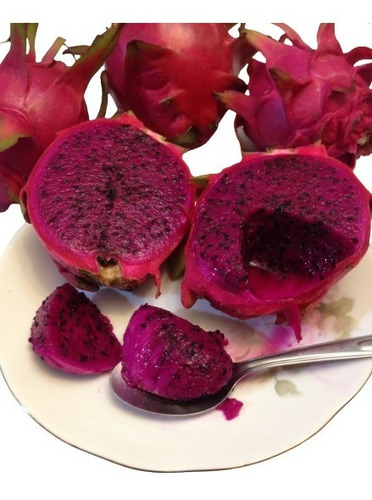 Pitaya Casca Vermelha Polpa Vermelha 5 Mudas Produz Em 1 Ano