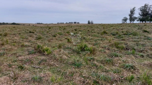114 Has 9201 M2 En Paraje Jose Ignacio
