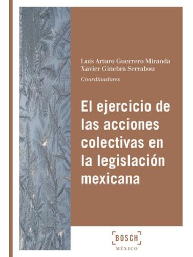 Libro- Ejercicio De Las Acciones Colectivas En La Legislaci