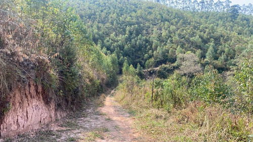 Imagem 13 de 14 de B22 Compre O Lote Com Melhor Preço Nesse Final De Semana !