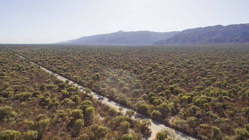 Imagen 10 de 18 de Venta De Campos En Córdoba Chancaní Campo Ganadero