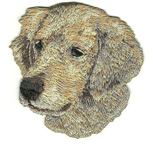 Parche Bordado Retrato Perro Golden Retriever 2 1 2  X 5 8 