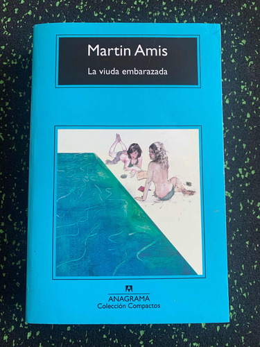 La Viuda Embarazada - Martin Amis