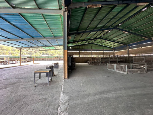 224145 Am* Venta De Galpón En Puerto Cabello