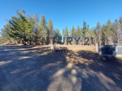 Imagen 12 de 14 de Lote En Venta - Bariloche - Dina Huapi - Loteo Dina Hue - Id: 46806