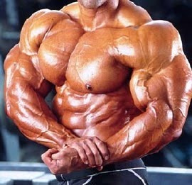 Guia De Treinamente Super Completo Para Hipertrofia Muscular