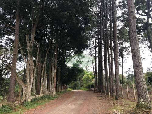 Imagem 4 de 30 de Terreno À Venda, 30000 M² Por R$ 3.698.000,00 - Cipó Do Meio - São Paulo/sp - Te0059