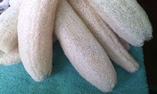 Esponja Vegetal-estropajo-luffa-natural X 12 Pzas