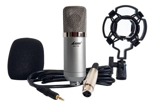 Microfono Condenser Lane Bm-700 Filtro Araña Cable Estudio