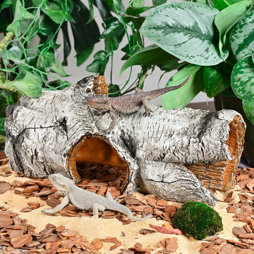 Cueva Simulación Árbol Escondite Refugio Reptiles Arbóreos A