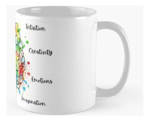 Taza Hemisferios Cerebrales Derecho E Izquierdo Calidad Prem