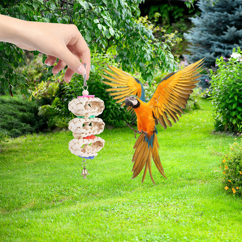 Juguetes Colgantes Con Forma De Jaula Para Pájaros, Juguetes