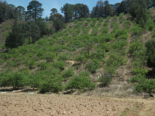 Imagen 1 de 8 de Terreno 32,000m² En San Joaquín Querétaro Con Escrituras