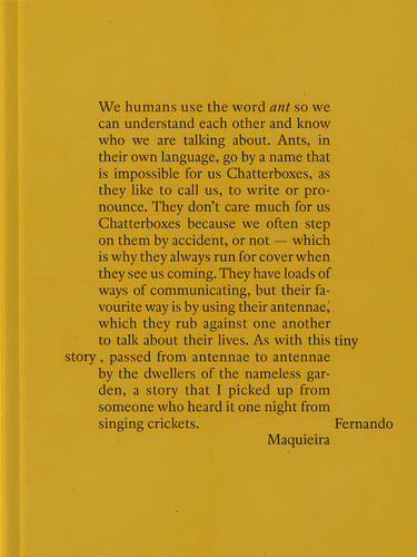 A Tiny Story, De Aa.vv.. Editorial Rm, Tapa Dura En Inglés, 2024