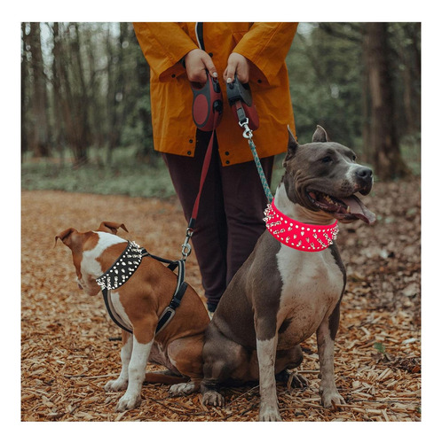 Teemerryca Collares De Perro Con Púas Plateadas De Cuero De