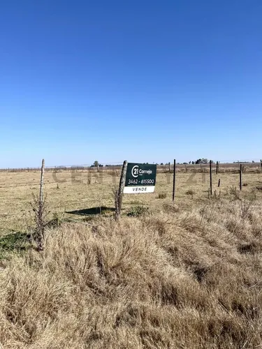 Campo - 20 Ha - Elortondo - foto 1