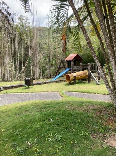 Venta Lujoso Y Confortable Ph En Oripoto 436m2