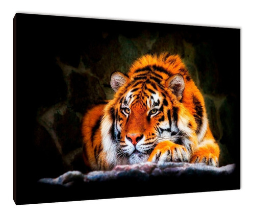 Cuadro Tigres Varios Modelos 40x60 (9)