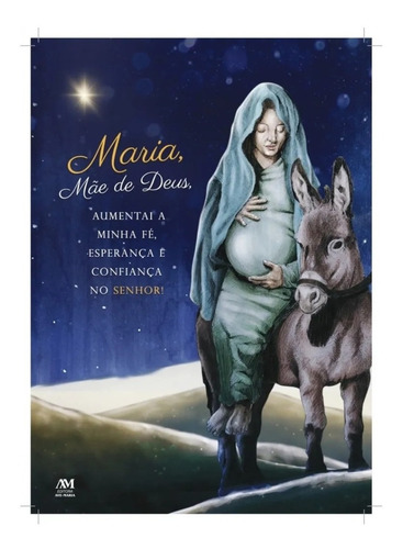 Box Caminhando Com Maria Do Livro 9 Meses Com Maria