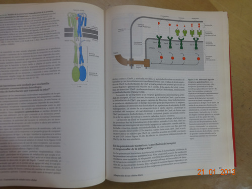 Biología Molecular De La Célula 3ra. Edición Alberts Omega (Usado)