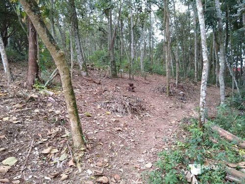Área À Venda, 11000 M² Por R$ 1.320.000,00 - Chácaras Bartira - Embu Das Artes/sp - Ar0053